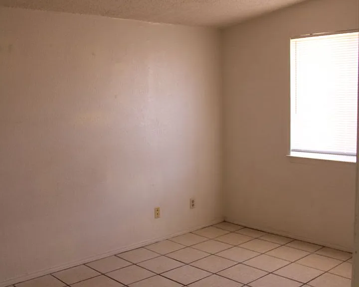 10736 Obsidian St — Photo 12