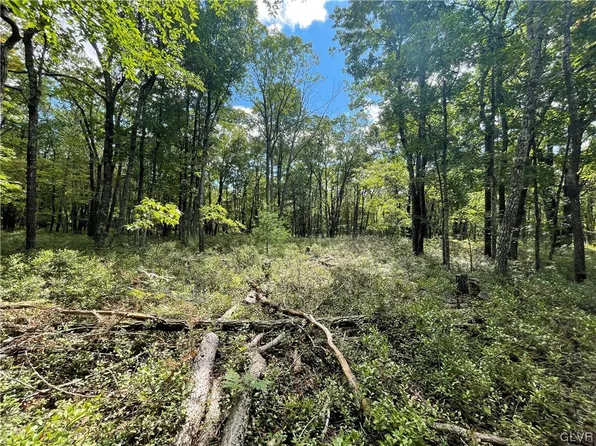 Pear Ln Lot 16, Jim Thorpe, PA 18229