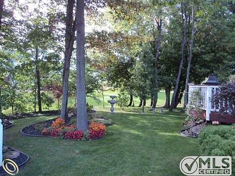 REAR YARD.JPG