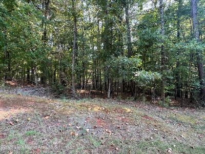 52 Fern Ridge Ln, Dadeville, AL, 36853