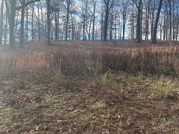 3rd image of 97 Forest Park Dr