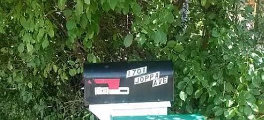 2nd image of 1701 Joppa Ave