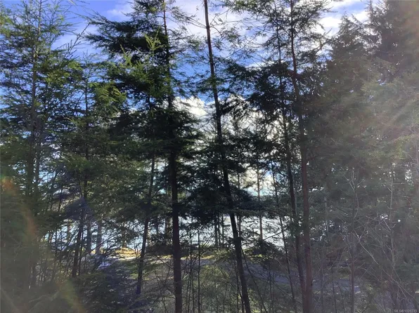 1 1st St, Mount Waddington, BC V0N 3E0