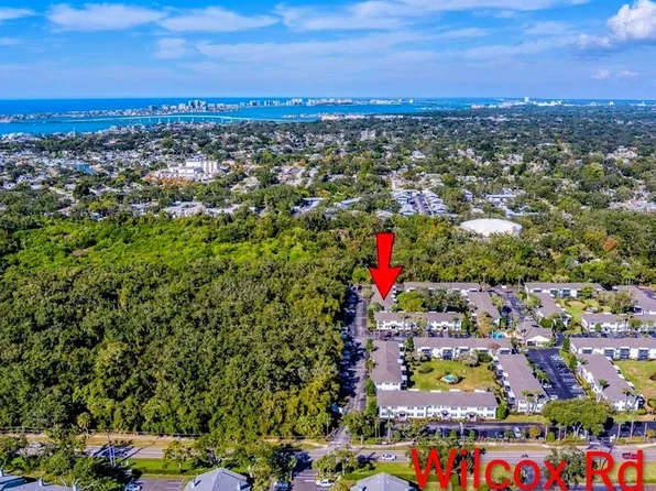 13125 WILCOX ROAD #16202, LARGO, FL 33774