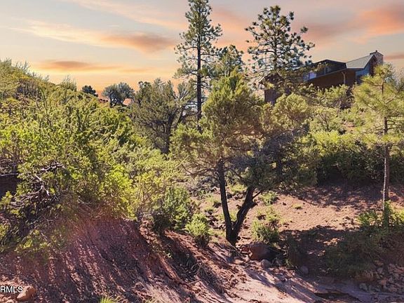 3rd image of 55 FOXTAIL Circle #55