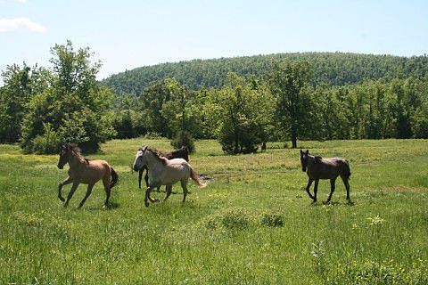East side of prop. adjoining Baker Rd.