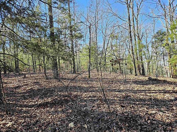 3rd image of 599 Rocking T Dr