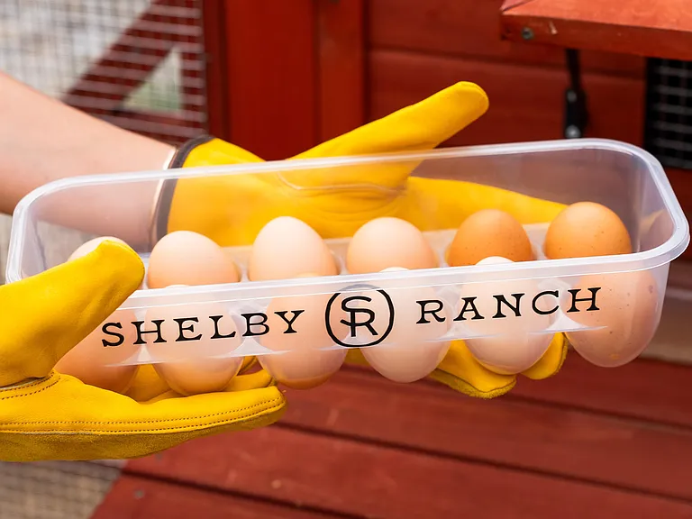 Shelby Ranch — Photo 13