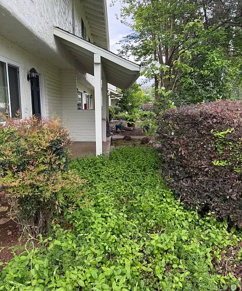 1462 Manzanita Ave — Photo 25