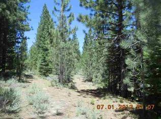 195 Pinehaven Ln, Portola, CA 96122