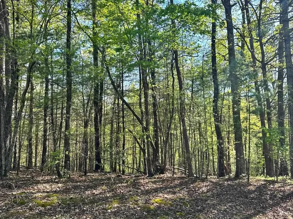 005-067 Thistle, Sautee Nacoochee, GA 30571