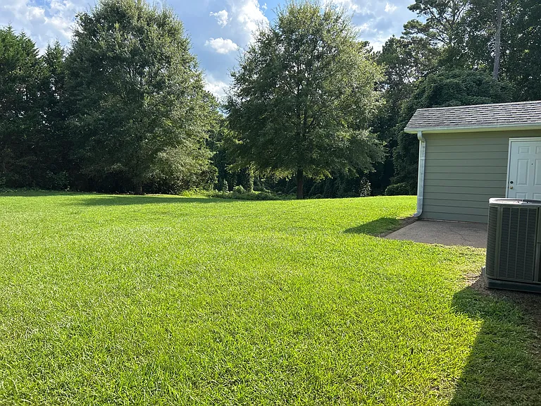 Huge back yard with several pin oak trees; storage closet