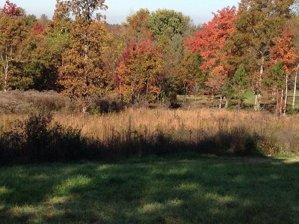 2nd image of 157 Garrett Private Ln