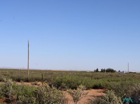 Primrose Ln NE, Deming, NM 88030