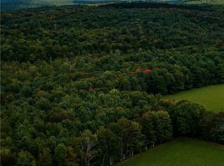 LOT 5C Cornell Rd #5, Stamford, NY 12167