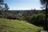 Sierra Mountain Views