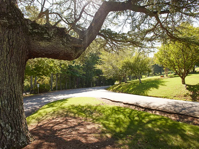 Unwind at the park