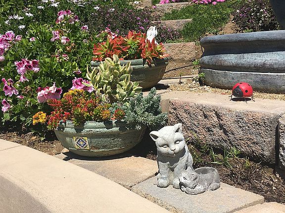 Fountain