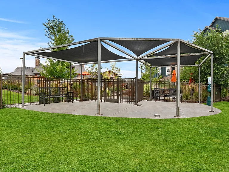 Pet park and dog run area