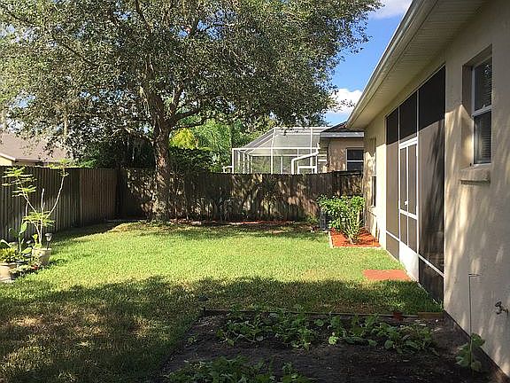 Back yard