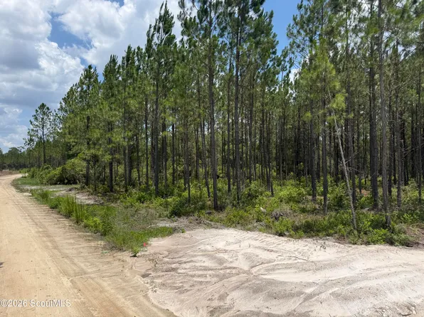 5 Corbitt Rd, Manor, GA 31550
