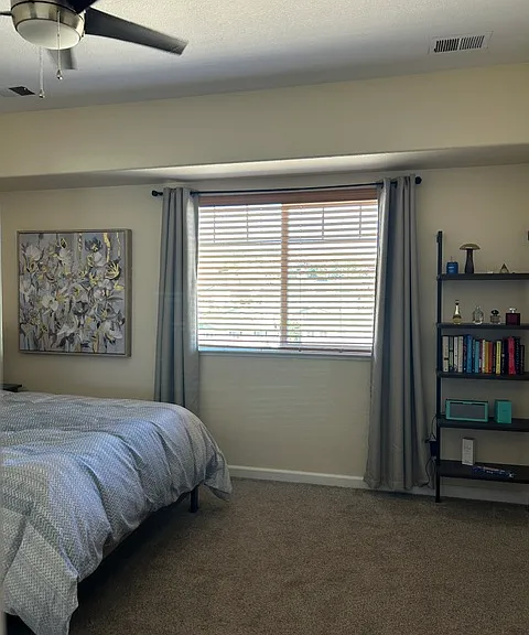 4647 Kathleen Denise Ln — Photo 20
