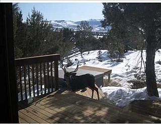 2nd image of 474 Green Mountain Dr