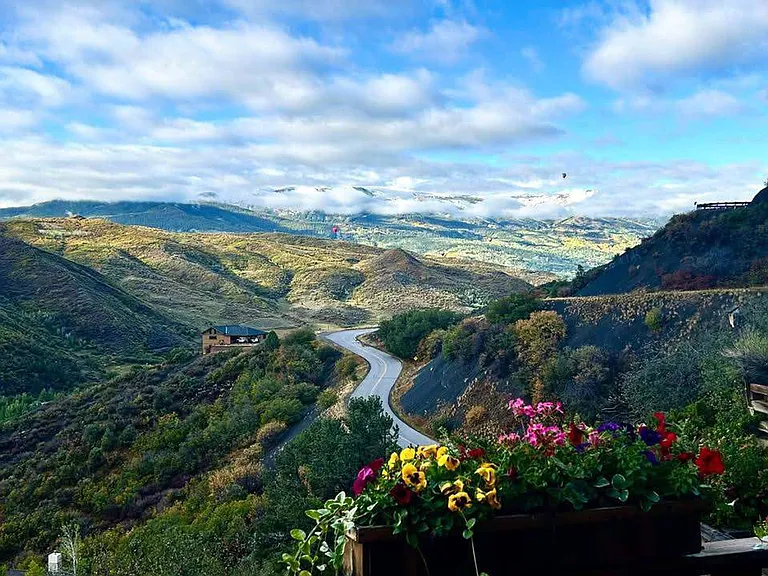 Window View