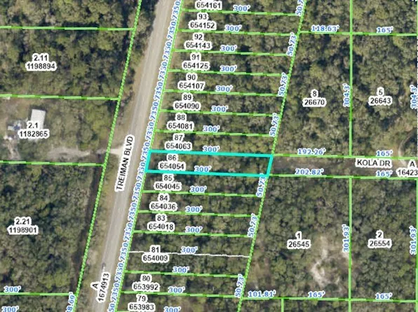 8250 Treiman Blvd Lot 86, Webster, FL 33597