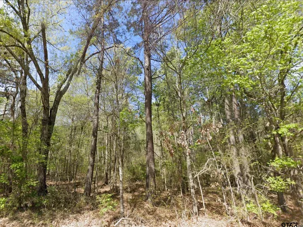 7087 Fm 235 E, Jacksonville, TX 75766