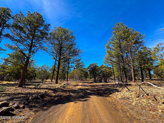 4th image of 11 Co Rd