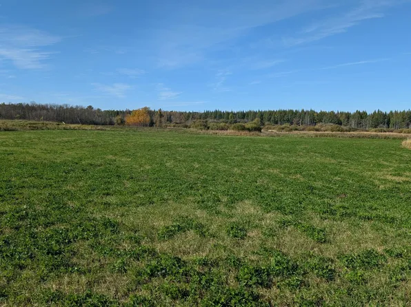 10211 Leander Rd, Angora, MN 55703