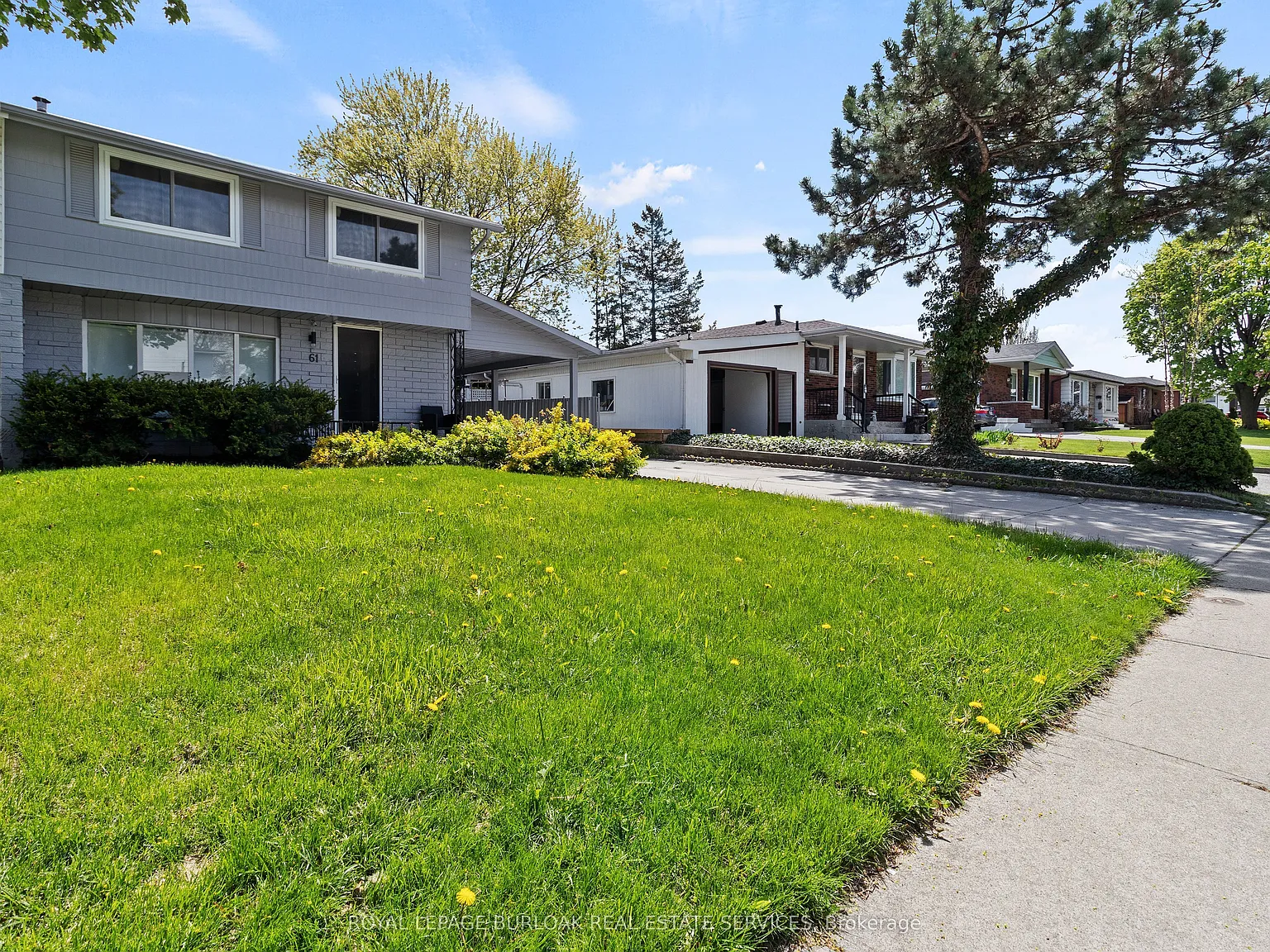 1 bed, $1,350 — Photo 2