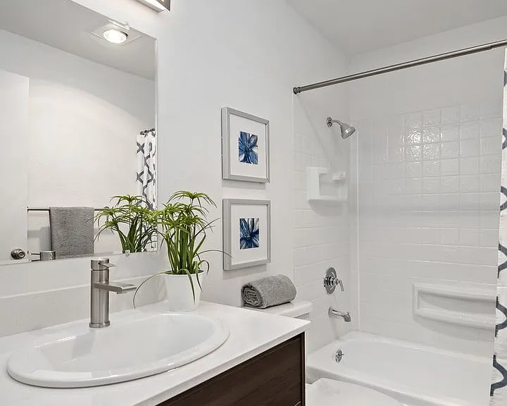 Canopy Apartments — Photo 36