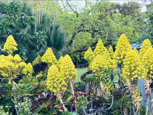 27478 Black Mountain Rd, Los Altos Hills, CA 94022