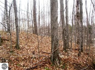 Luce Rd, South Boardman, MI 49680