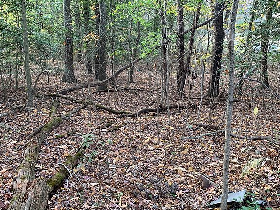 5th image of 7742 Port Tobacco Rd