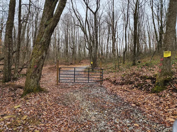 Snow Ball Rd, Mount Nebo, WV 26679