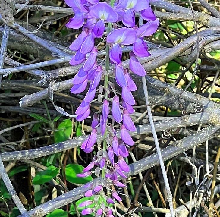 37th image of this home