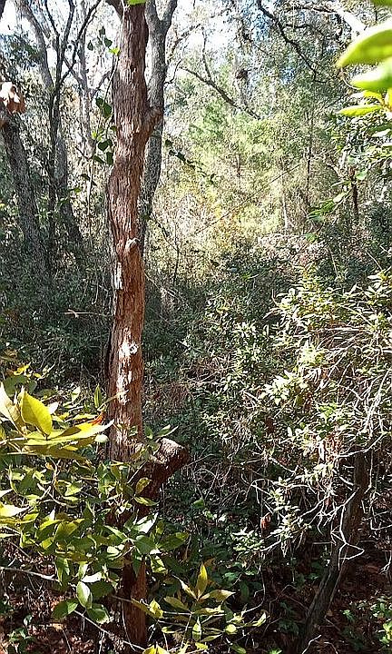 1st image of LOT 7 Barna Ave