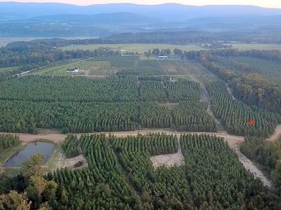 TRACT 11 Avalon Lake Ln, Mena, AR, 71953