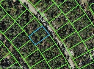 504 Summer Hill Dr, Lake Placid, FL 33852