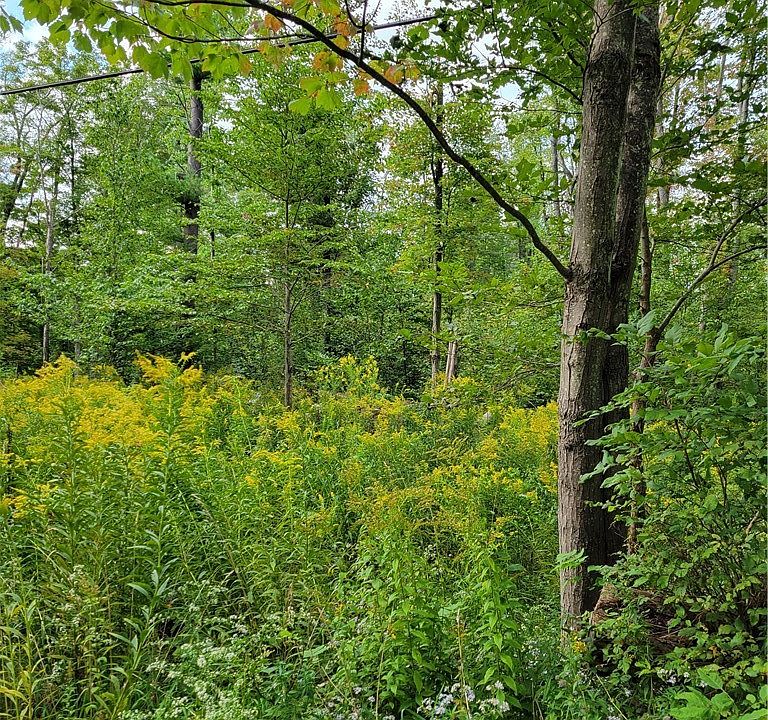 1st image of 0 Block Rd #43