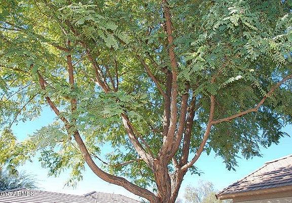2nd image of 3620 E Torrey Pines Ln