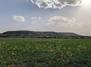 TRACT 1 County Road 228, Abilene, TX 79602