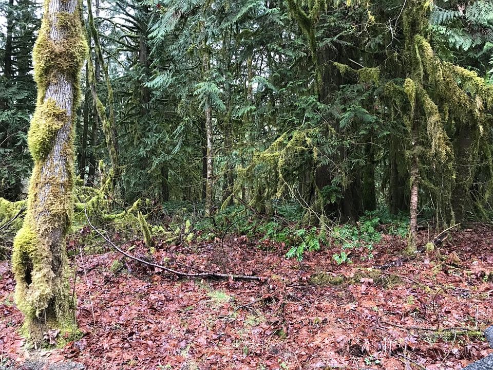 1st image of 7369 Scott Pl