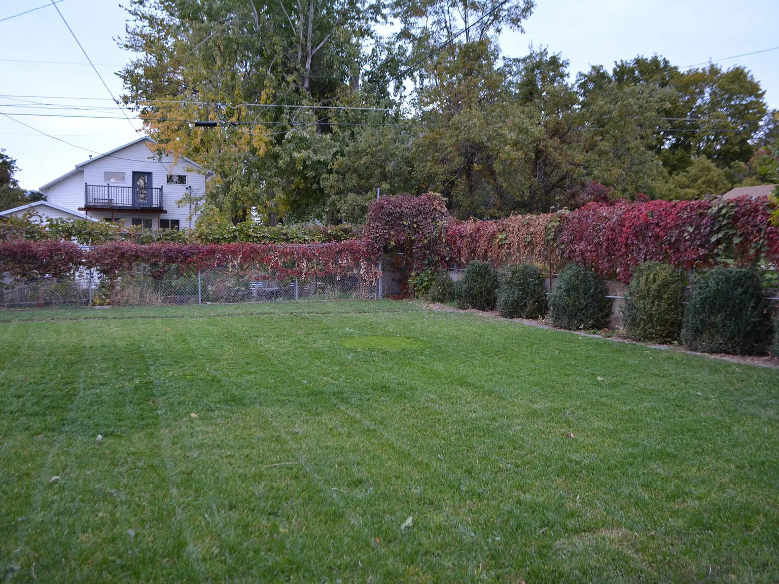 1648 Cahoon St — Photo 3