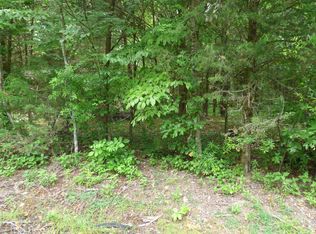 LOT 1024 Mountain View Ln, White Pine, TN 37890