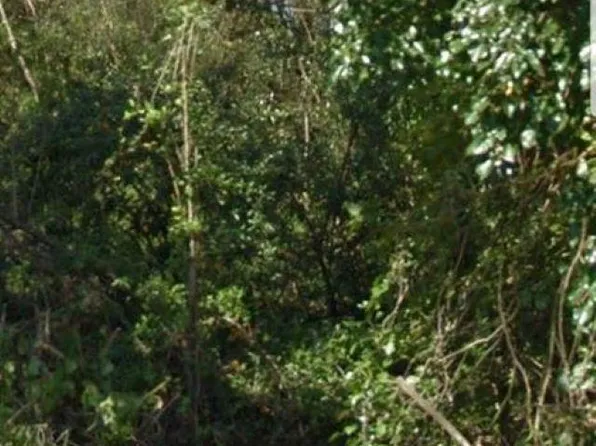 0 Walnut Ave Lot 8, Anniston, AL 36201