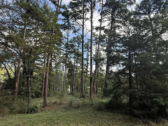 2nd image of 13254 County Road 468